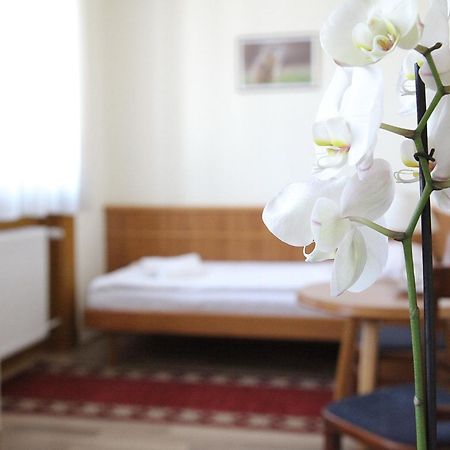 Hotel Corvinus Zalaszentgrot ภายนอก รูปภาพ