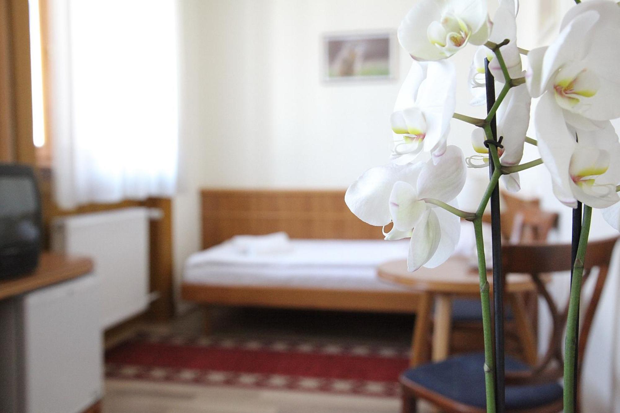 Hotel Corvinus Zalaszentgrot ภายนอก รูปภาพ